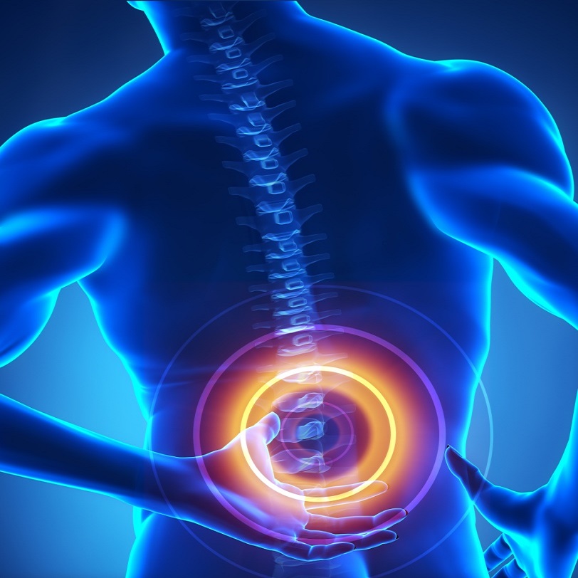 Lower Back Stretching, Exercises, & Posture WorkFit